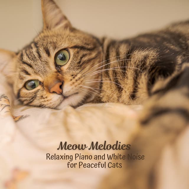 Meow Melodies: Relaxing Piano and White Noise for Peaceful Cats - White Noise Ambience