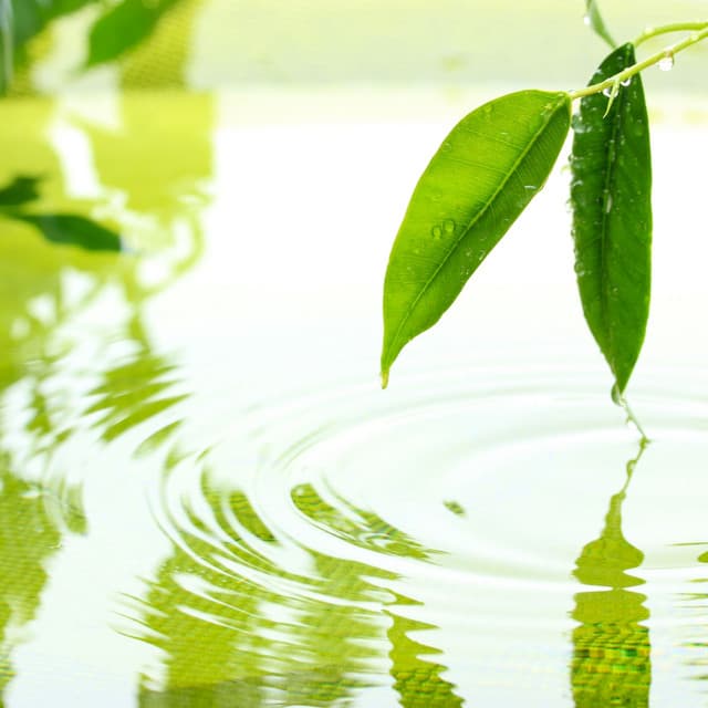 Liquid Reflections: Blissful Waters - Water FX