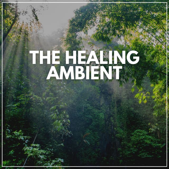 The Healing Ambient - Self Care Meditation