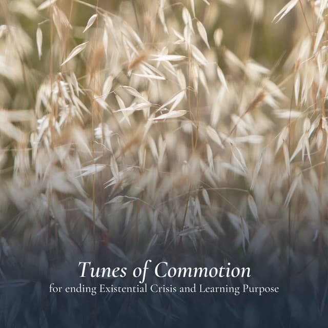 Tunes of Commotion for ending Existential Crisis and Learning Purpose - White Noise Android