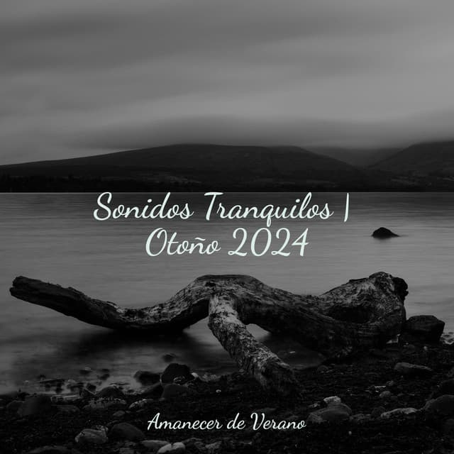 Sonidos Tranquilos | Otoño 2024 - Musica Romantica