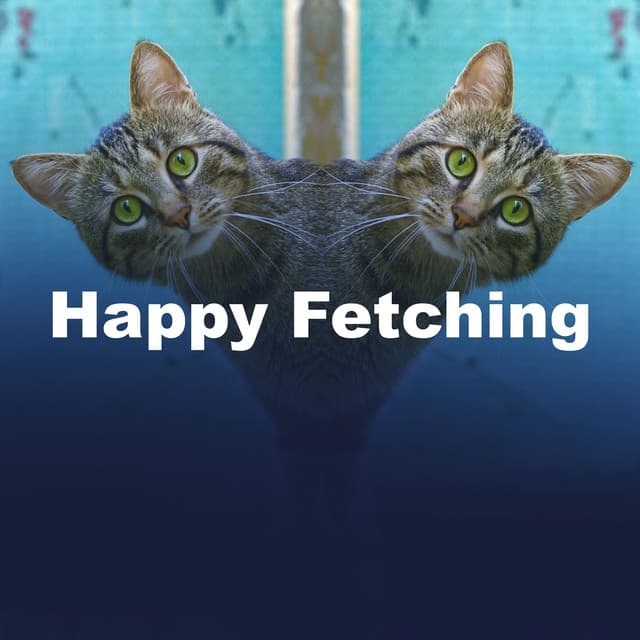 Happy Fetching - Music For Dogs