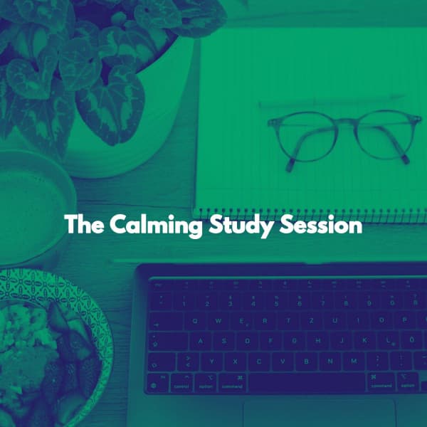 The Calming Study Session - Jazz Ambiental para Hoteles