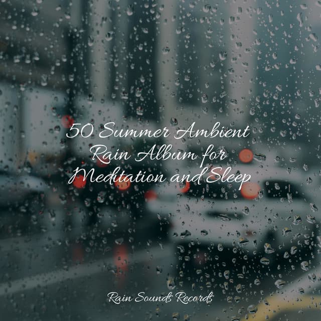 50 Summer Ambient Rain Album for Meditation and Sleep - Calming Waves