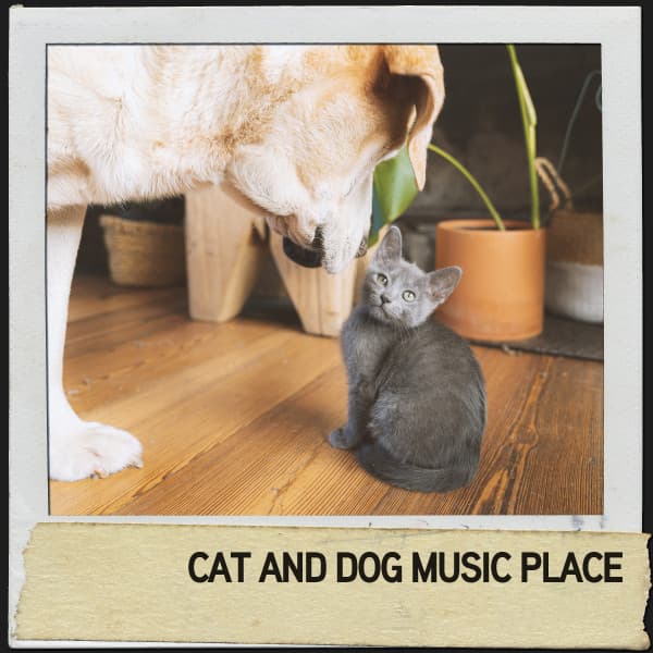 Cat and Dog Music Place: Tranquil Tunes for Tired Pets - Relajacion