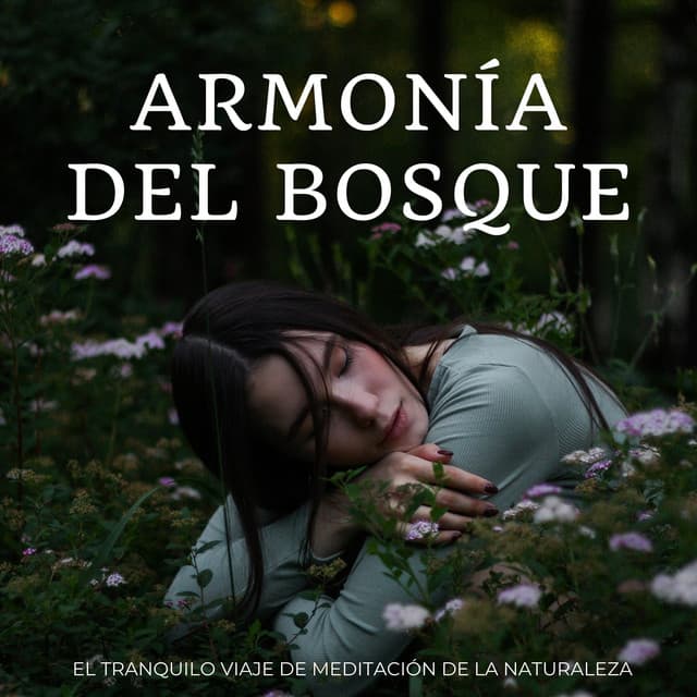 Armonía Del Bosque: El Tranquilo Viaje De Meditación De La Naturaleza - Jardín del tiempo