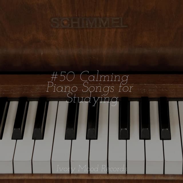 #50 Calming Piano Songs for Studying - Dormir