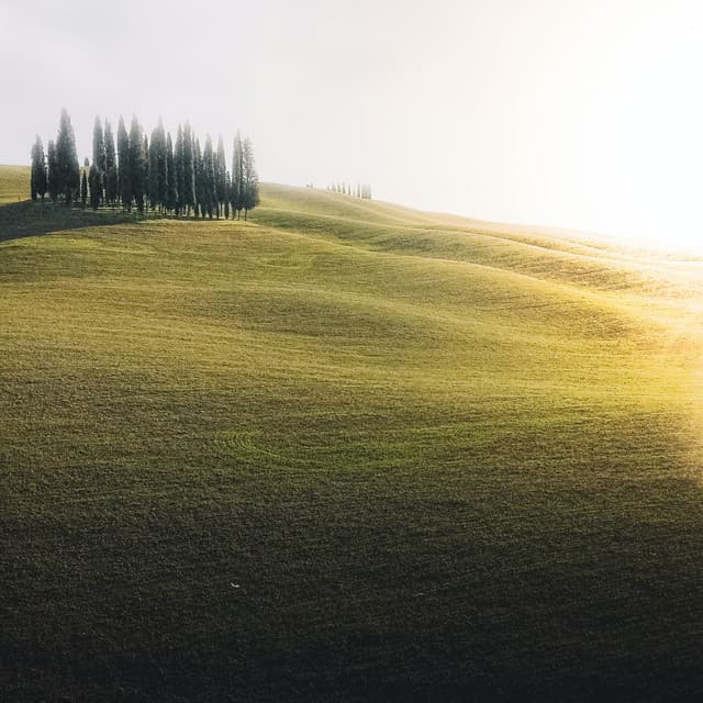 White Cosy Sleep Sound - Relaxing Sounds of Nature White Noise Waheguru