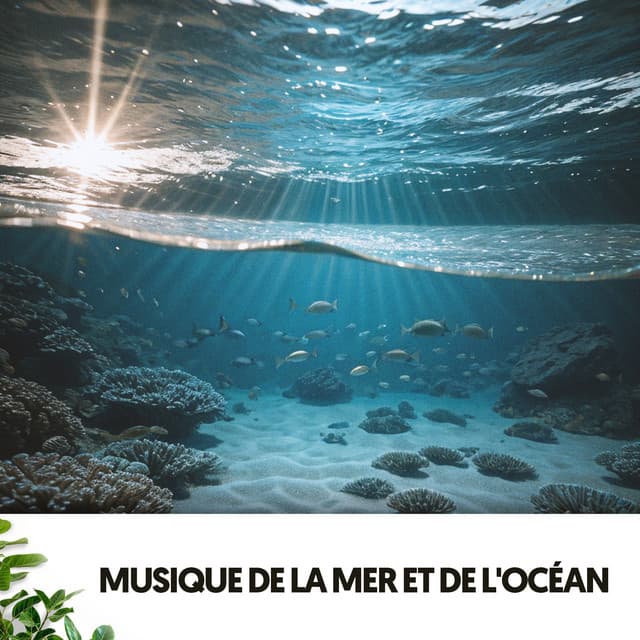 Musique de la Mer et de l'Océan : Chansons des Profondeurs - Dog Relaxation