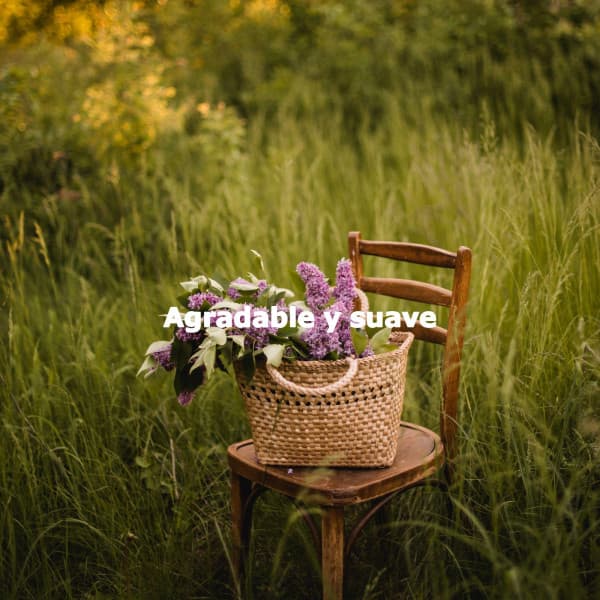 Agradable y suave - Acoustic Study Music Playlists