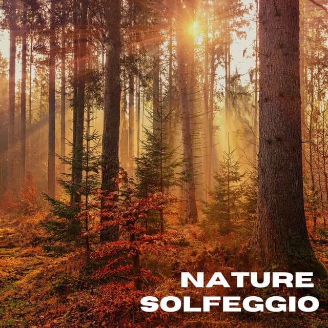 Nature Solfeggio - Solfeggio Frequency Meditation