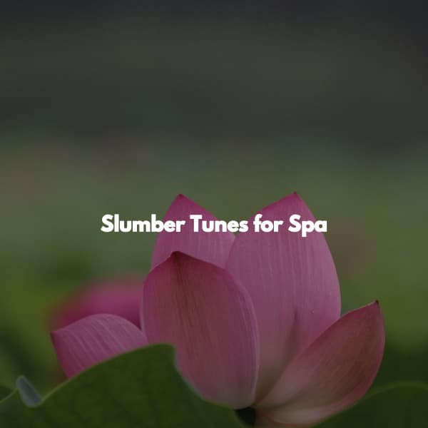 Slumber Tunes for Spa - Spa Music Playlist