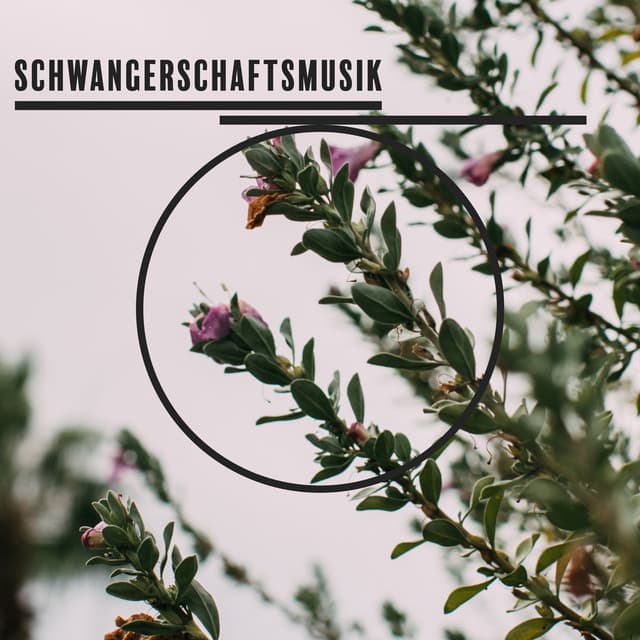 Schwangerschaftsmusik - Soham Hari