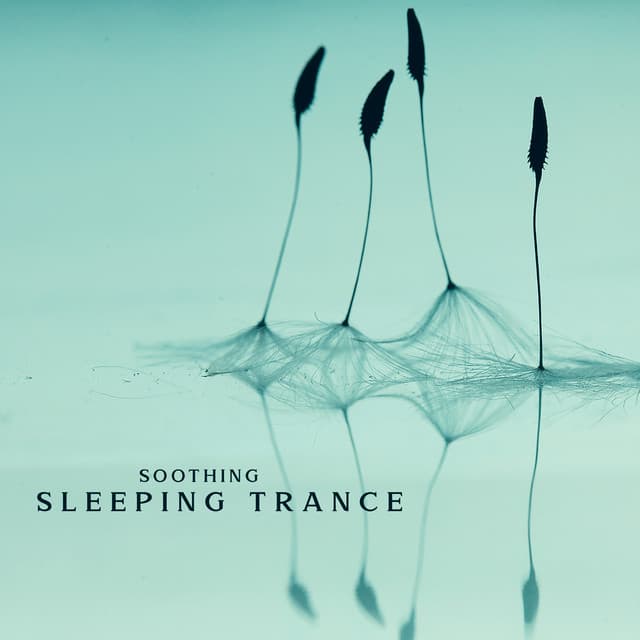 Sleep System
