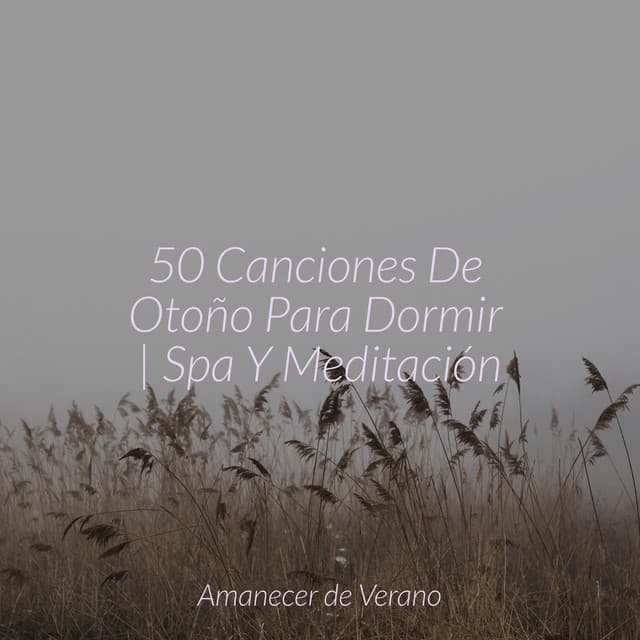 50 Canciones De Otoño Para Dormir | Spa Y Meditación - Musica Reiki