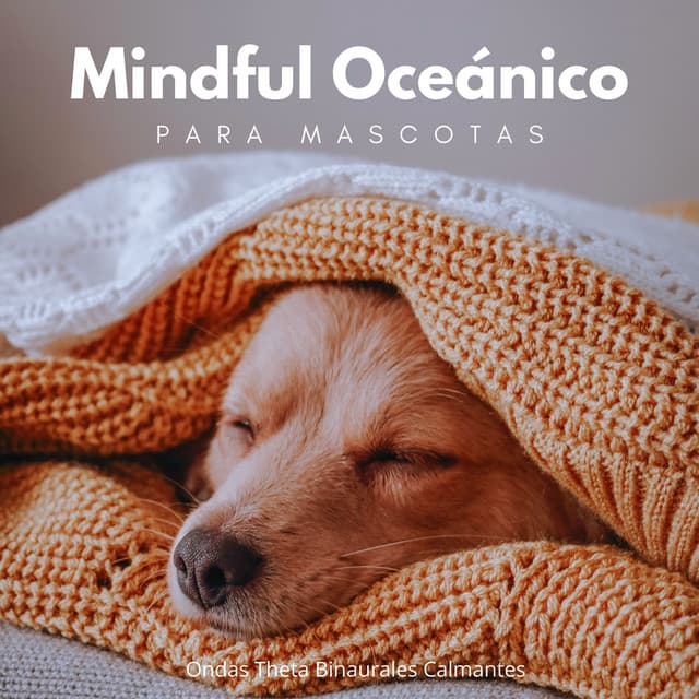 Mindful Oceánico Para Mascotas: Ondas Theta Binaurales Calmantes - Sistema de ritmos binaurales