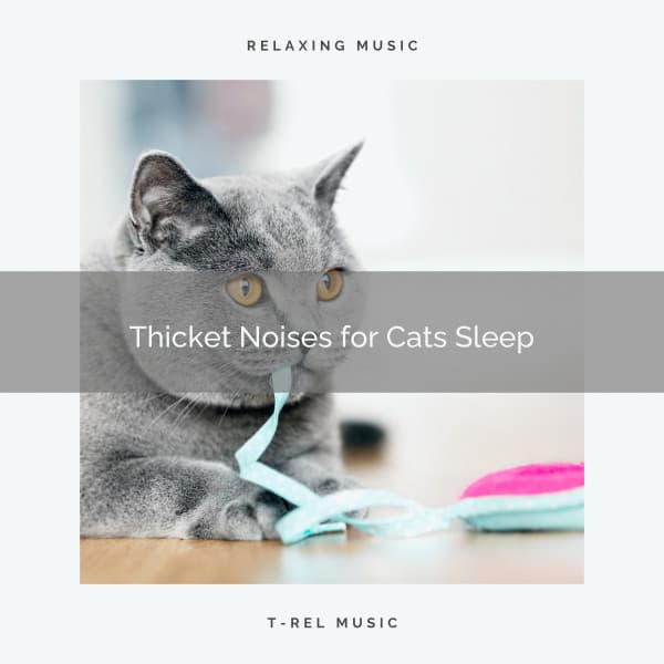 Thicket Noises for Cats Sleep - Music For Cats