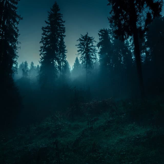 Serene Sounds for Tranquil Days and Nights - Lofi Peace Music