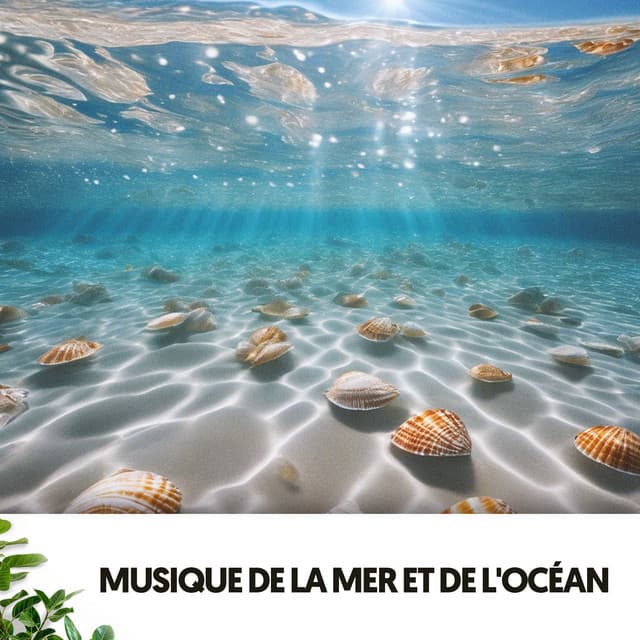 Sons de l'Océan et de la Mer : Sérénade des Vagues - Relajacion