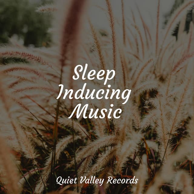 Sleep Inducing Music - Nature Ambience