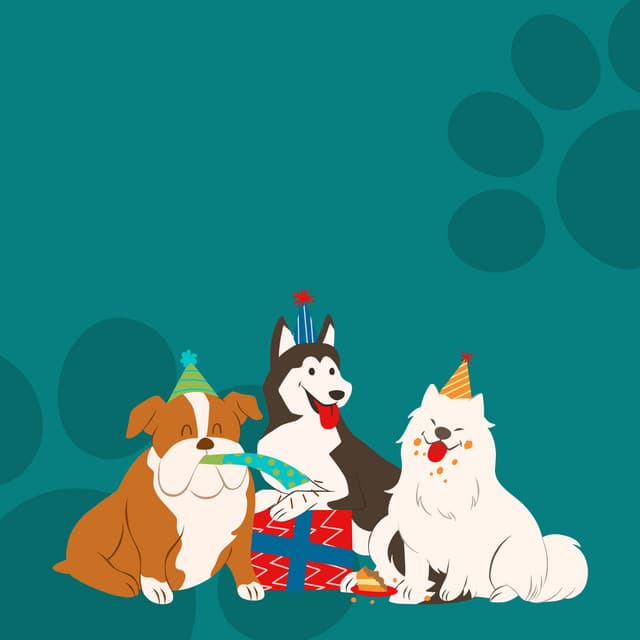 Bark and Beats: Music for Dogs' Life Journey - Boleen FX