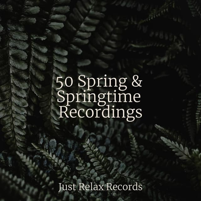 50 Spring & Springtime Recordings - Kinderliederbande