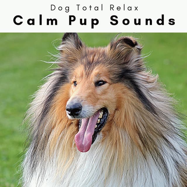 2 0 2 3 Calm Pup Sounds - Dog Total Relax