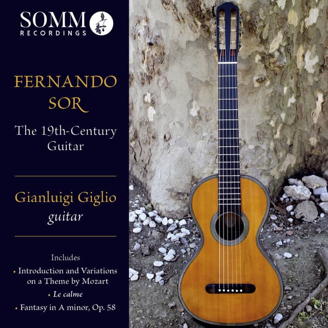 The 19th-Century Guitar - Fernando Sor