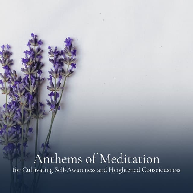 Anthems of Meditation for Cultivating Self-Awareness and Heightened Consciousness - The Solfeggio Peace Orchestra