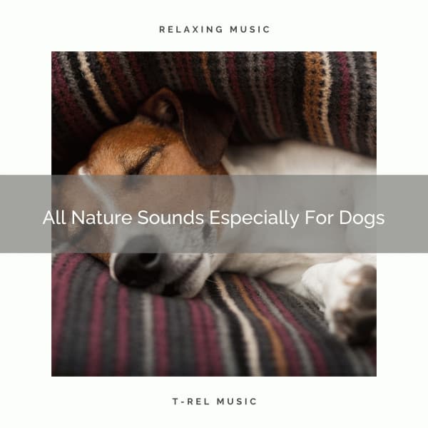 All Nature Sounds Especially For Dogs - Dog Total Relax