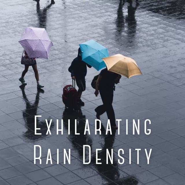 Exhilarating Rain Density - Seashore Waves