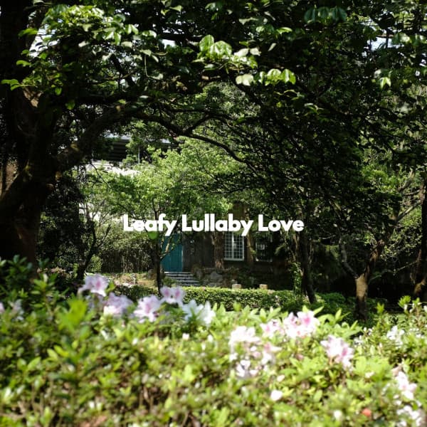 Leafy Lullaby Love - Acoustic Study Music Playlists