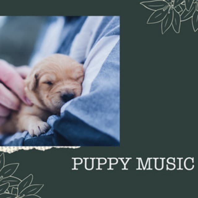 Puppy Music - Puppy Music