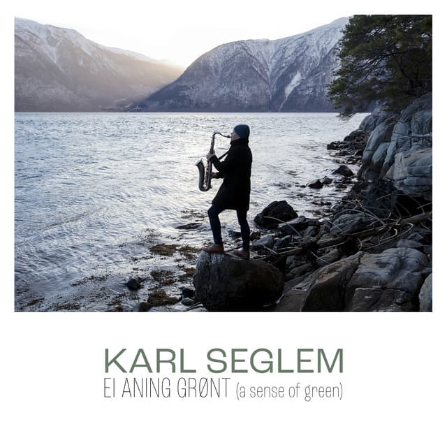 Ei aning grønt - Karl Seglem