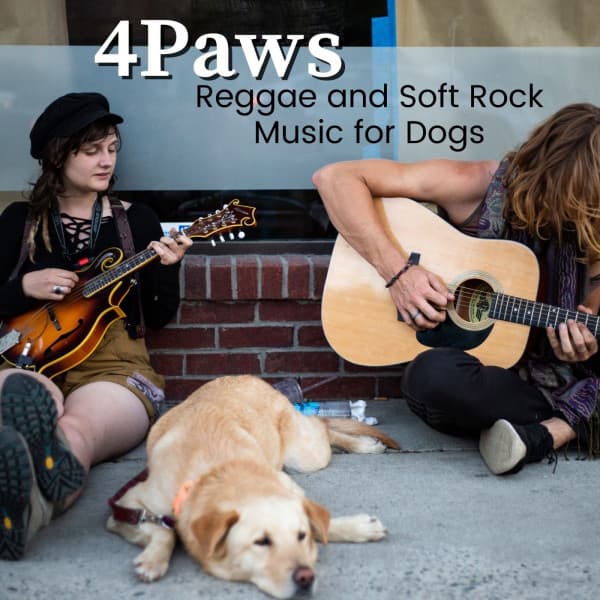 Soft Dog Music