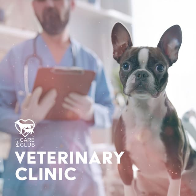 Veterinary Clinic - Pet Care Club