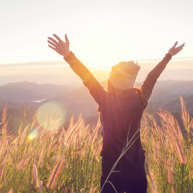 Tranquil Moments: Melodies for Relaxation - Music Moments