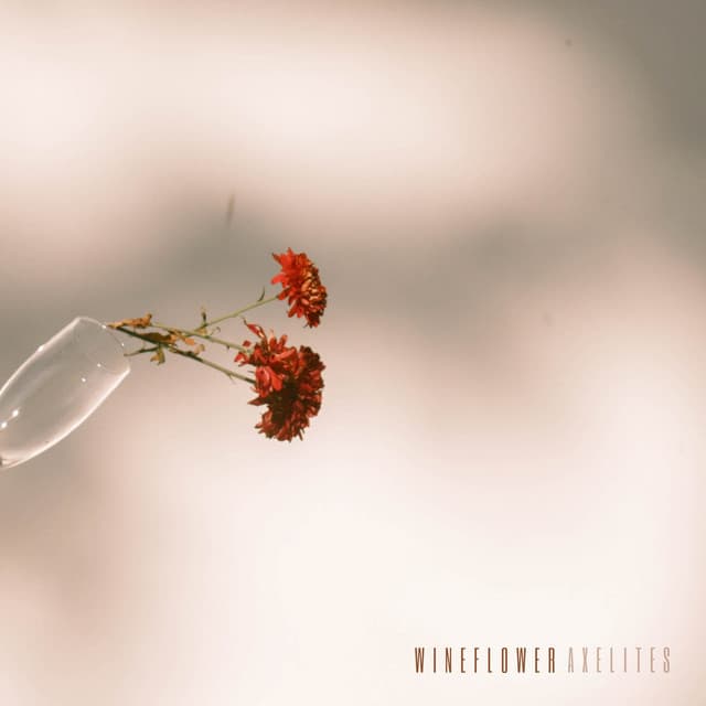 Wineflower - Axelites