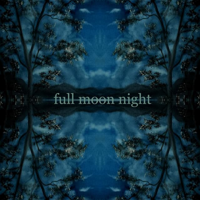 Full Moon Night - Generix