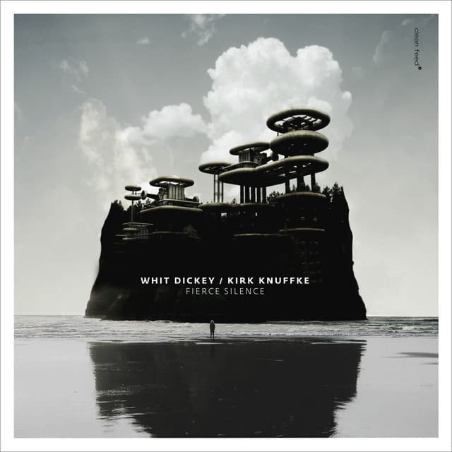 Fierce Silence - Whit Dickey