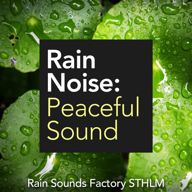 Rain Noise: Peaceful Sound - Rain Sounds Factory STHLM