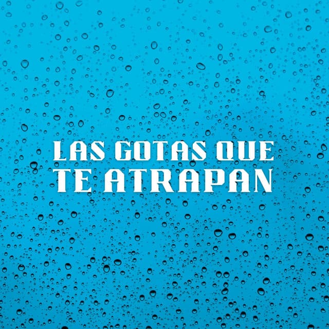Las Gotas Que Te Atrapan - Lluvia en el Bosque