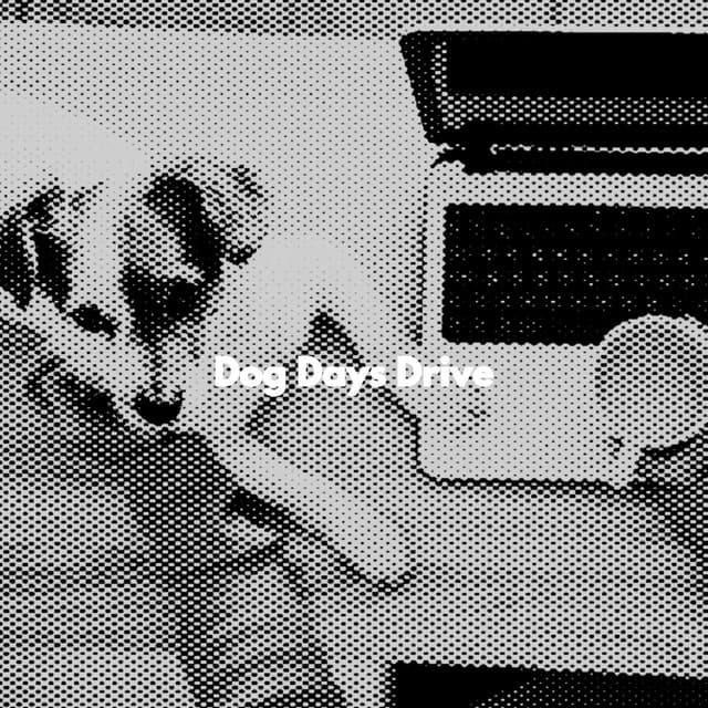 Dog Days Drive - Cafe Music Deluxe