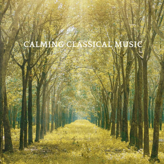 Calming Classical Music - Johann Sebastian Bach