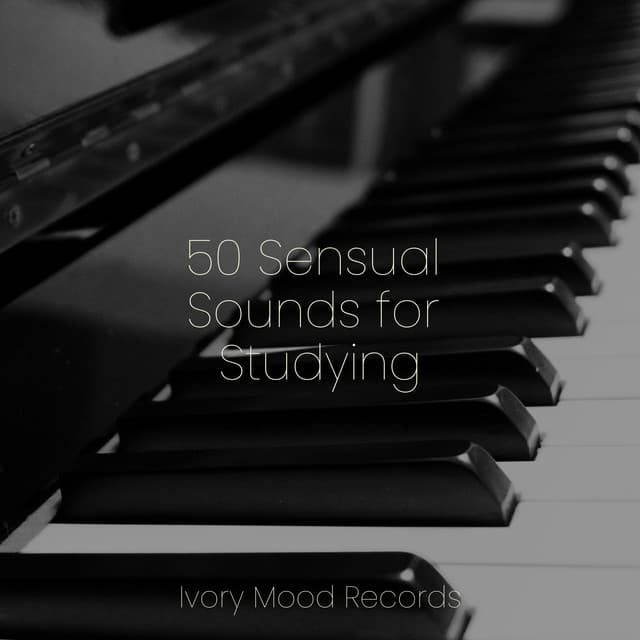 50 Sensual Sounds for Studying - Ivory Mood