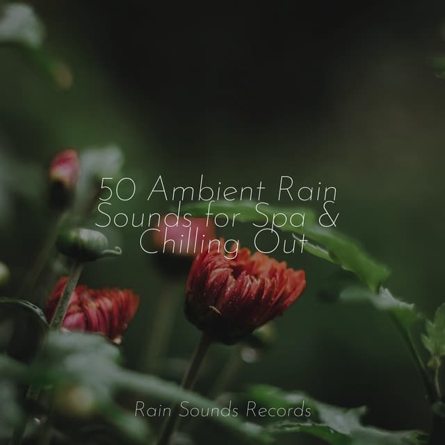 50 Ambient Rain Sounds for Spa & Chilling Out - Sonido Del Bosque y Naturaleza