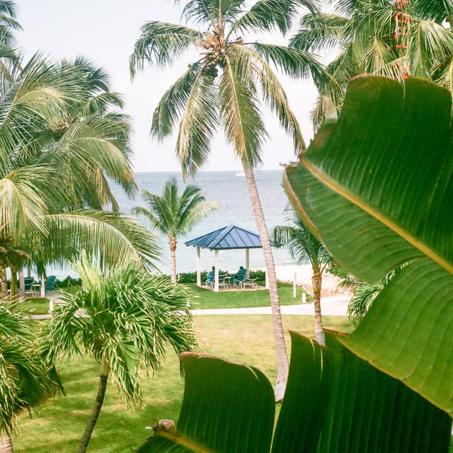 1 Sol: Godrays - Lofi Chill