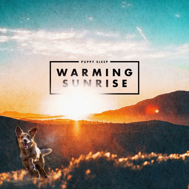 Warming Sunrise - Puppy Sleep