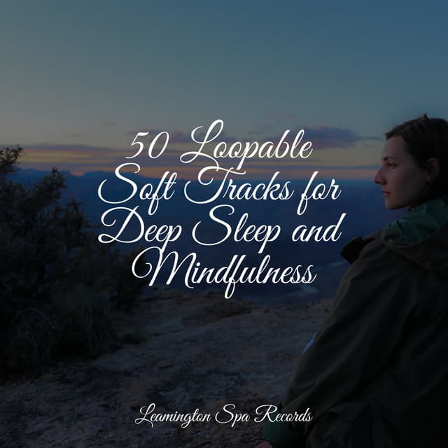 50 Loopable Soft Tracks for Deep Sleep and Mindfulness - Rain Shower Spa