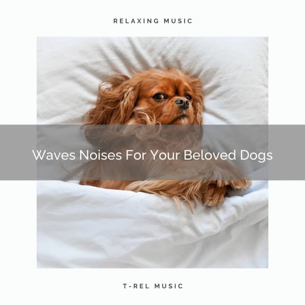 Waves Noises For Your Beloved Dogs - Dog Total Relax